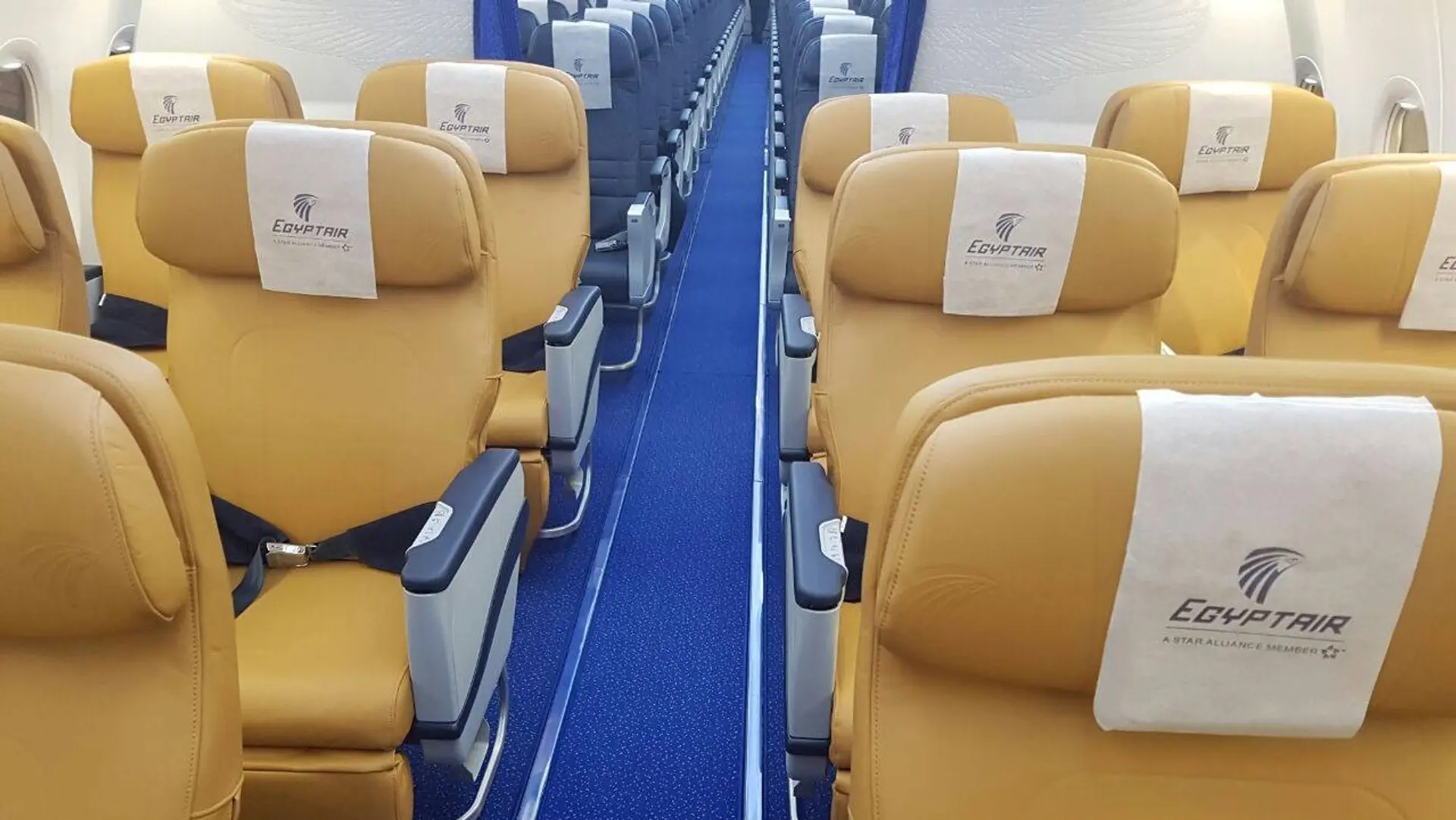 Airline review Short- & Medium-haul - Egyptair - 4