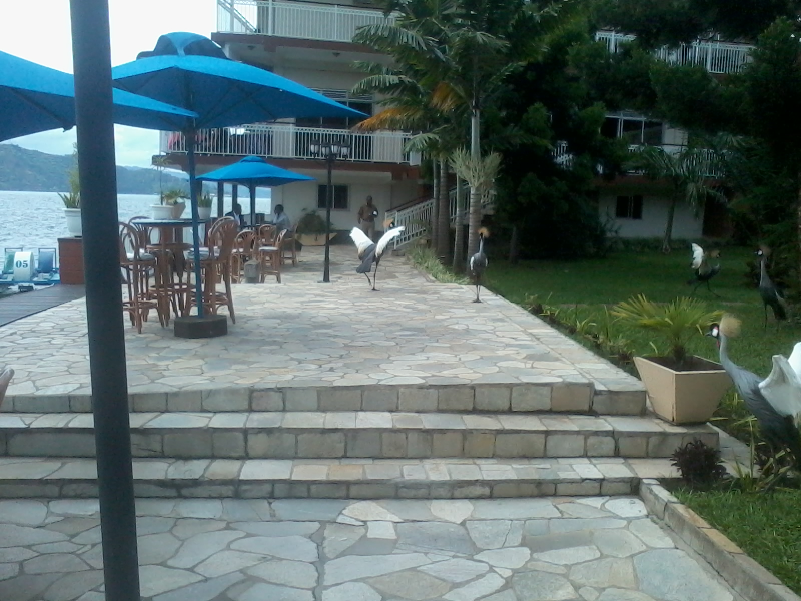 2013-03-17 10.05.01.jpg