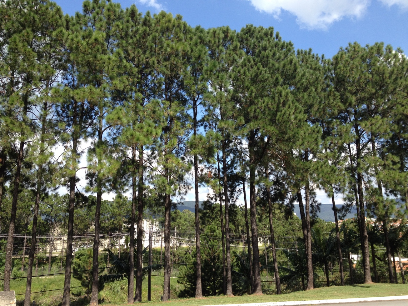 2015-04-28 12.58.20.resized.jpg