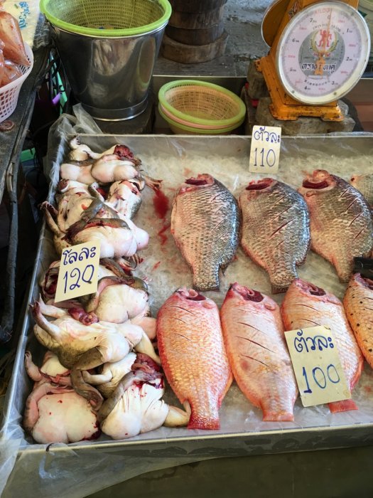 2016 April-Juli 1838.JPG