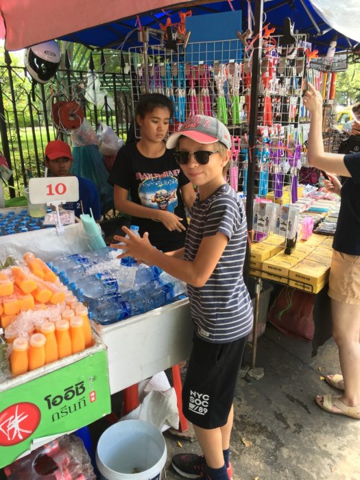 2016 April-Juli 1881.JPG