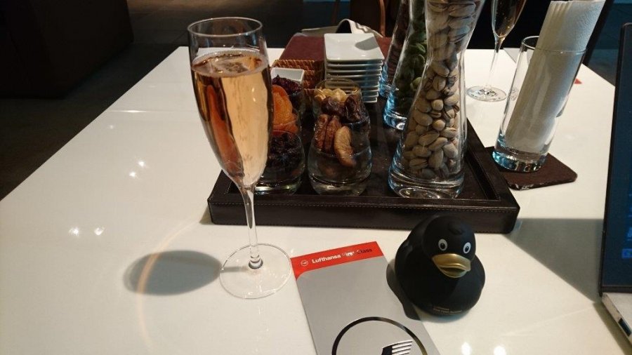 2017-11-04 08.31.05.jpg