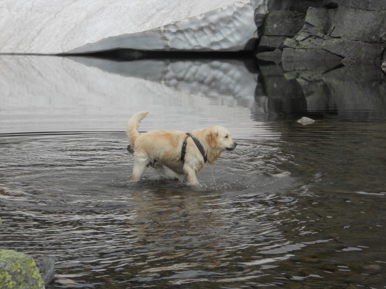 Bilder 2014 172 (Custom).JPG