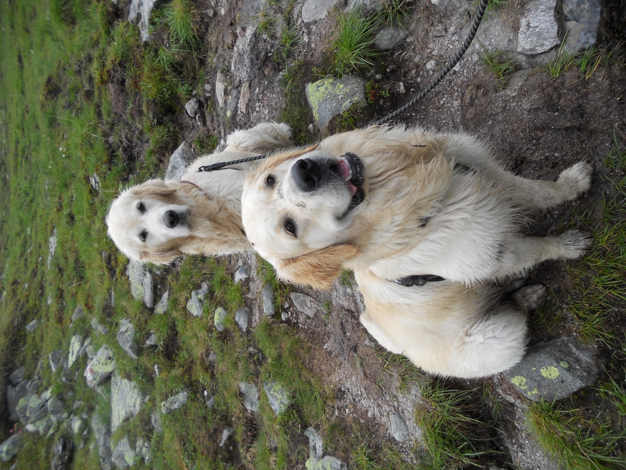 Bilder 2014 184 (Custom).JPG