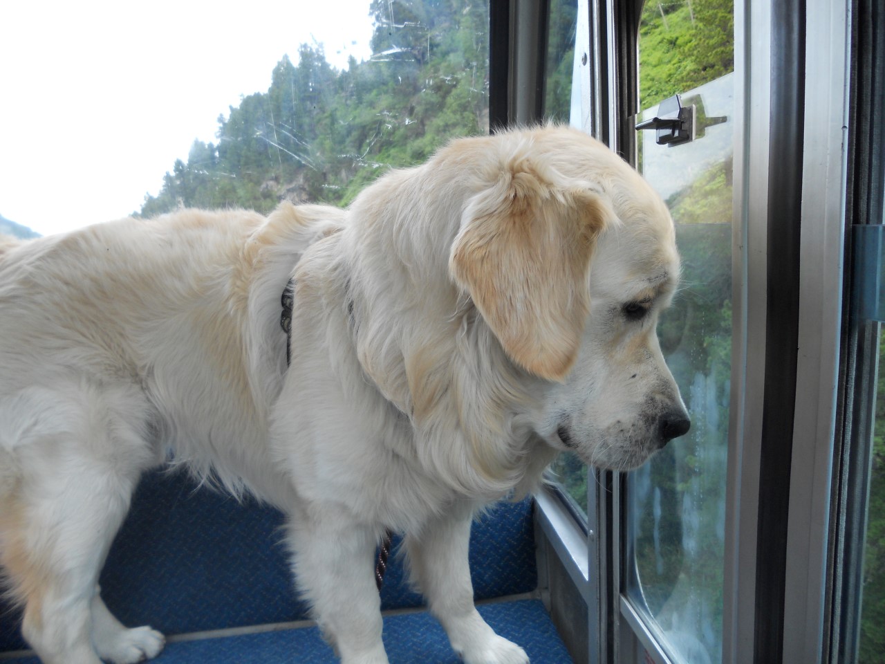 Bilder 2014 259 (Custom).JPG