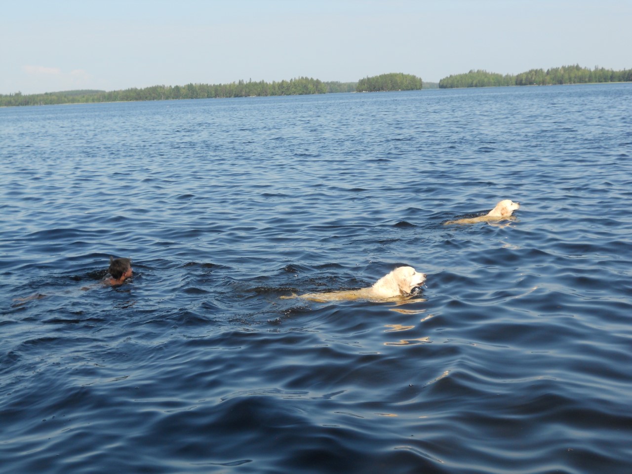 Bilder 2014 315 (Custom).JPG