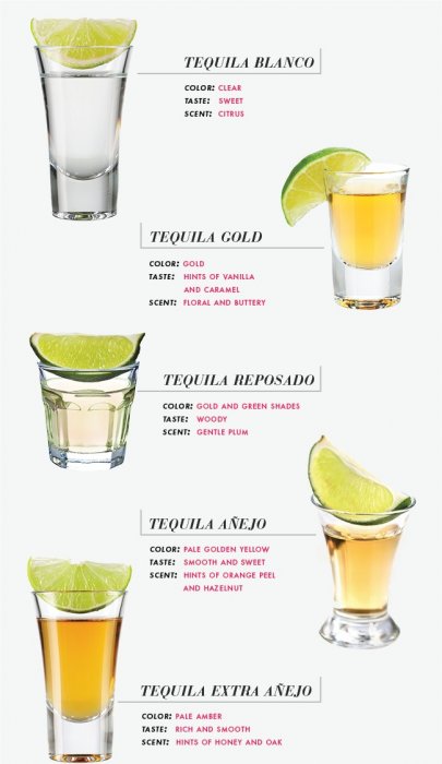 Celebrate-5-de-Mayo-with-5-Delicious-Tequilas-by-JustFab.jpg