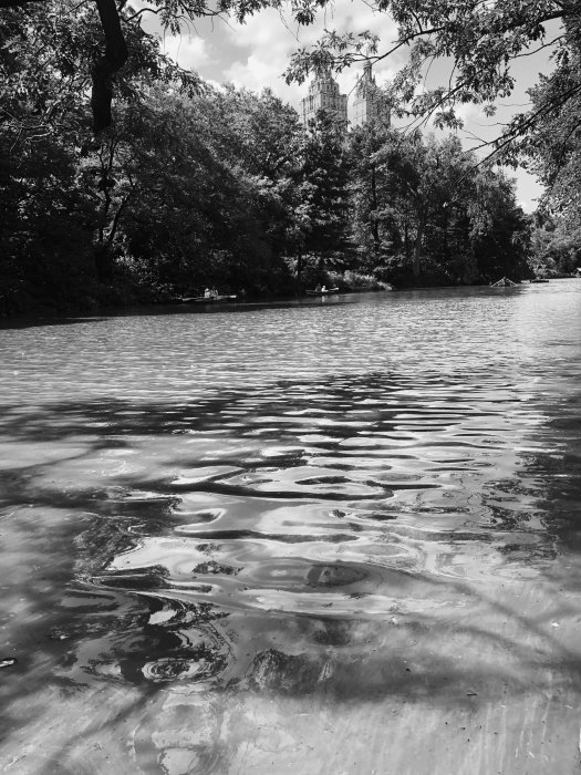 CentralParkBW1.jpg