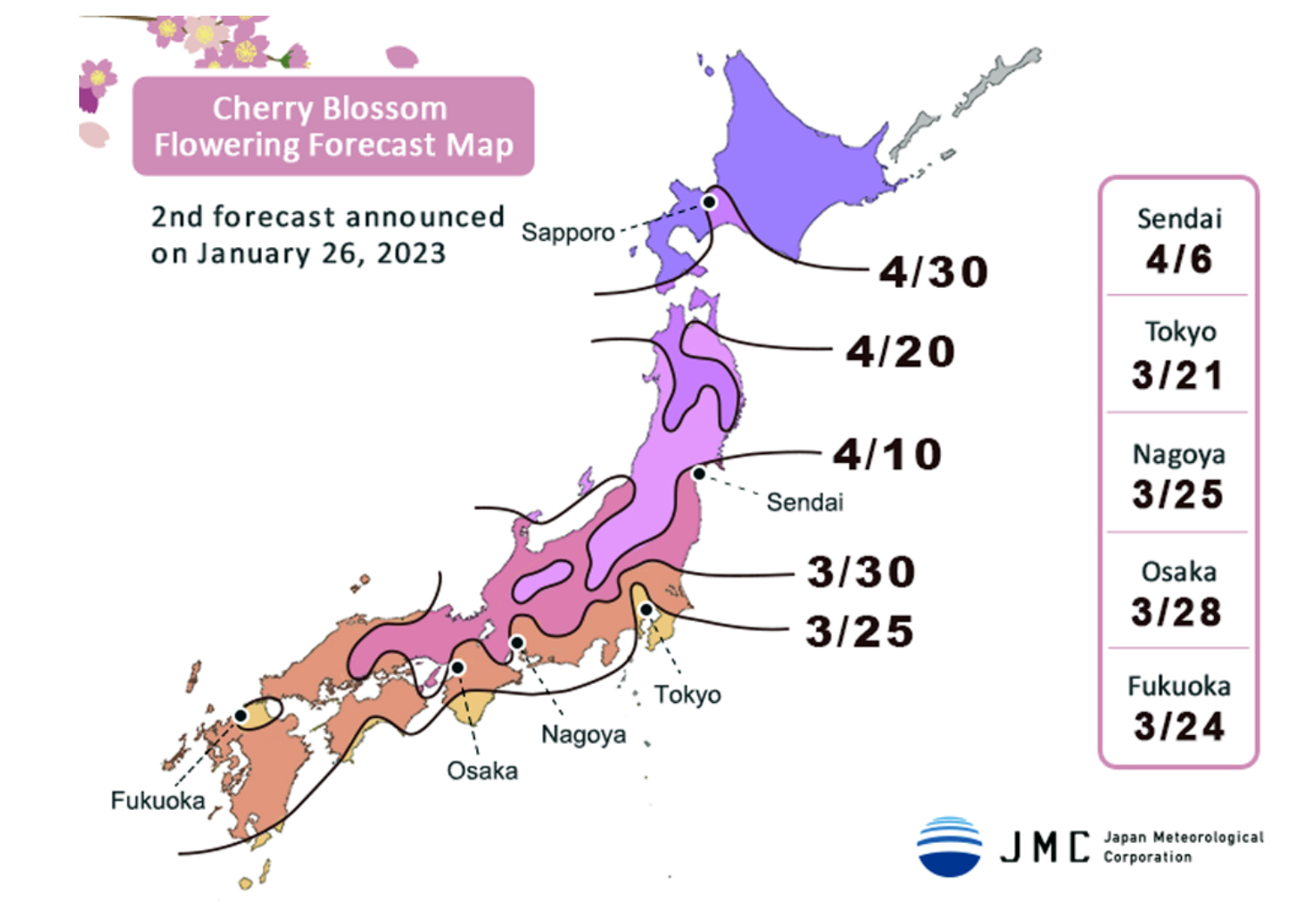 Cherry BLossom 2.jpg