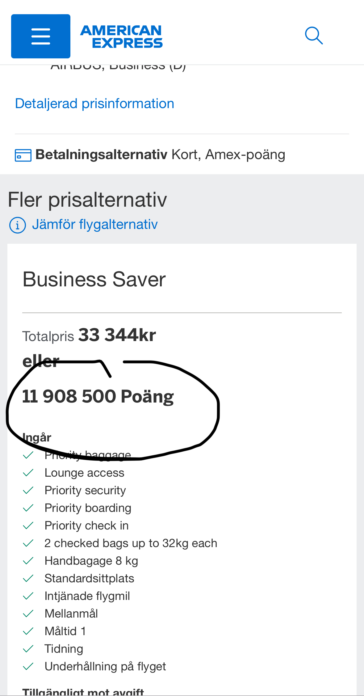 Flygdetaljer.jpeg