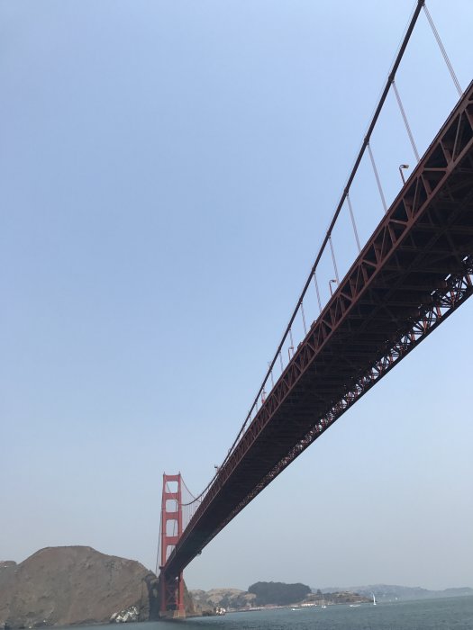 Foto 2017-09-02 21 19 48.jpg