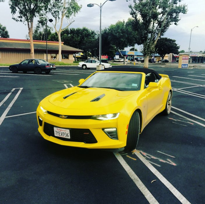 Foto 2017-09-04 03 40 42.jpg