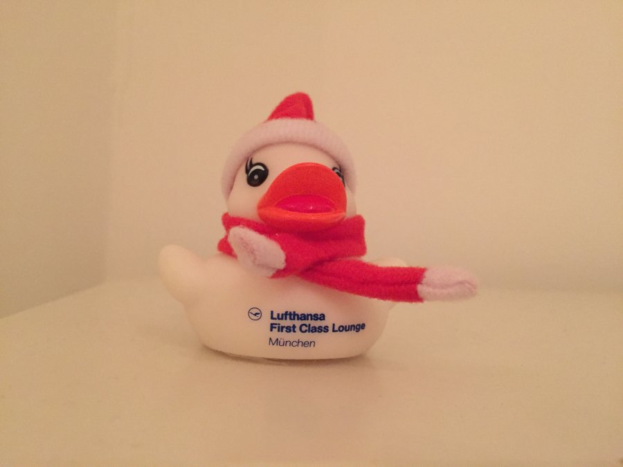 Foto 2019-12-03 13 57 00.jpg