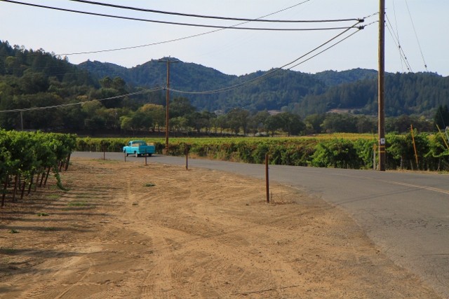 IMG_1544 (640x427).jpg