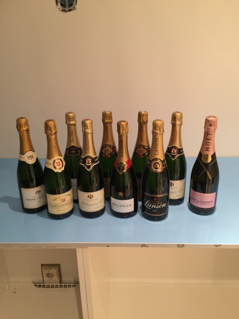 IMG_3451 (Small).JPG