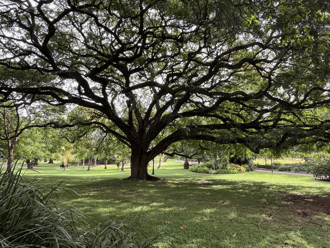 IMG_3873 - stor.jpeg