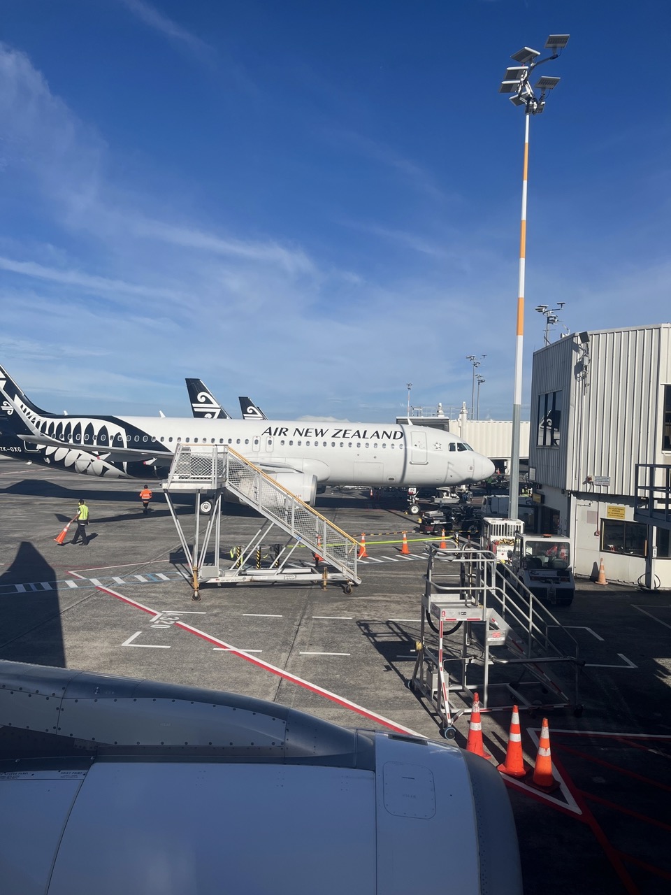 IMG_4064 - stor.jpeg