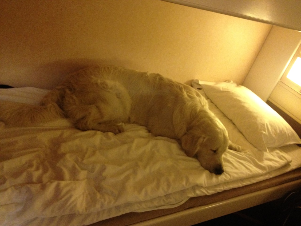 Iphone5 1165 (Custom).JPG