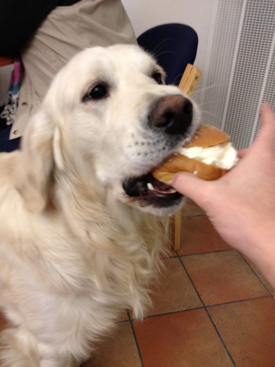 Iphone5 224 (Custom).JPG