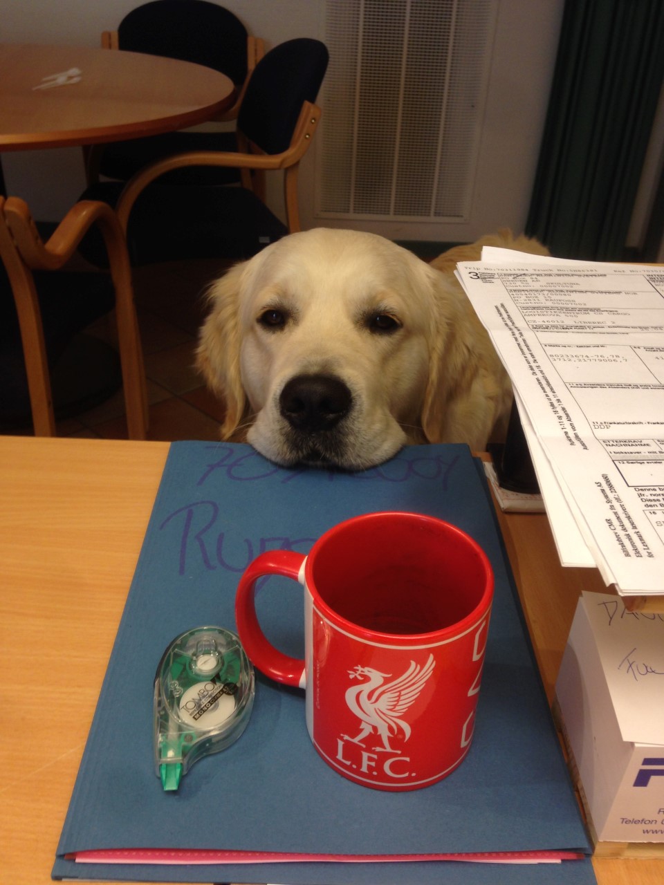 Iphone5 5479 (Custom).JPG