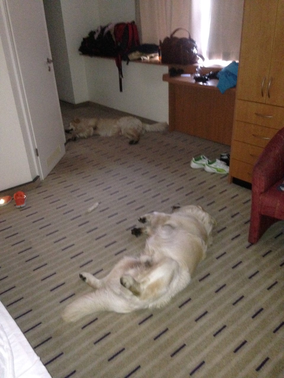 Iphone5 6326 (Custom).JPG