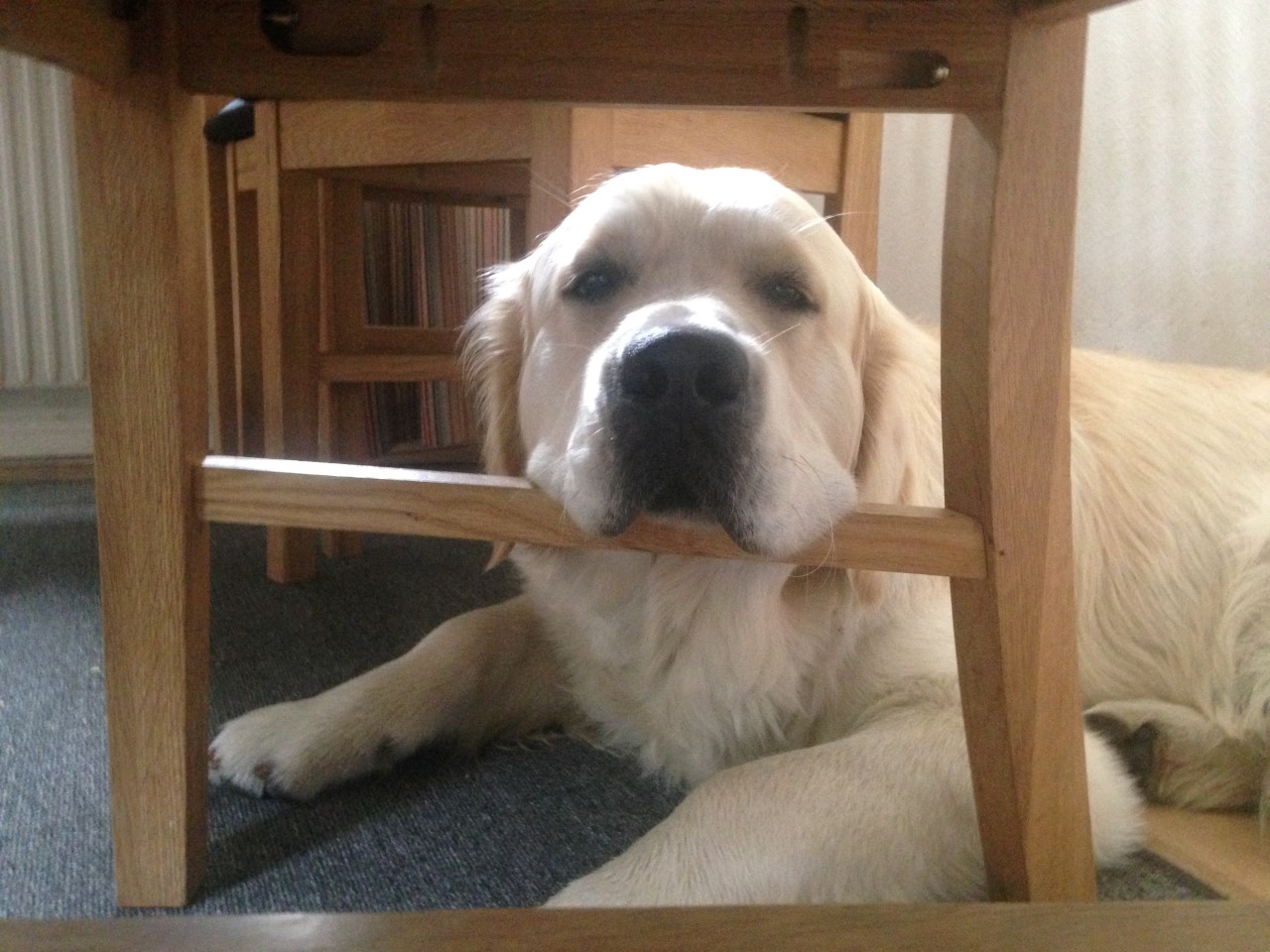 Iphone5 6458 (Custom).JPG