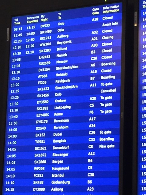 Iphone6+ 037 (Small).JPG