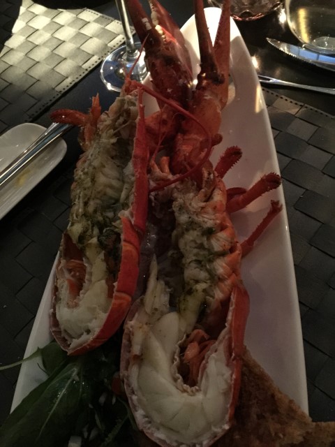 Iphone6+ 072 (Small).JPG