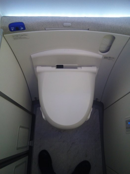 JAL Business B787 HND-CAN, 37.jpg