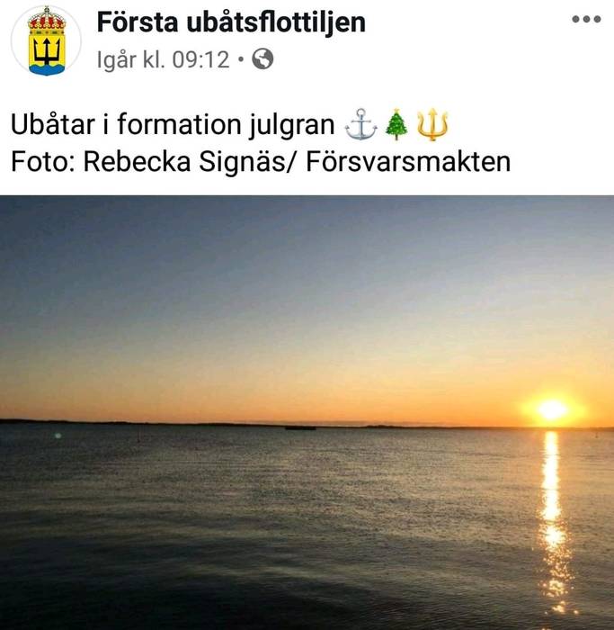 julgran.jpg