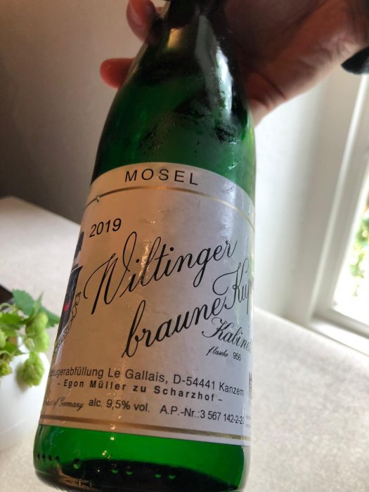 Photo 2020-09-19 01.01.16.207 em.jpeg