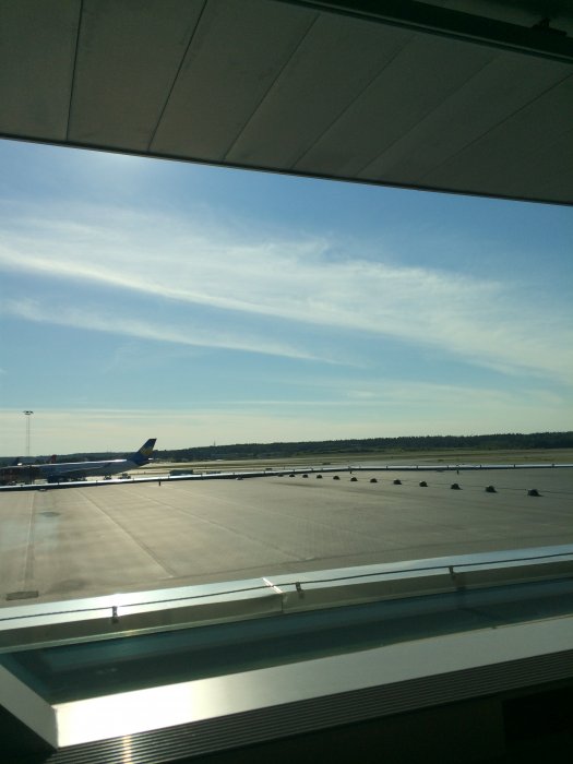 SAS Lounge Arlanda 021.JPG