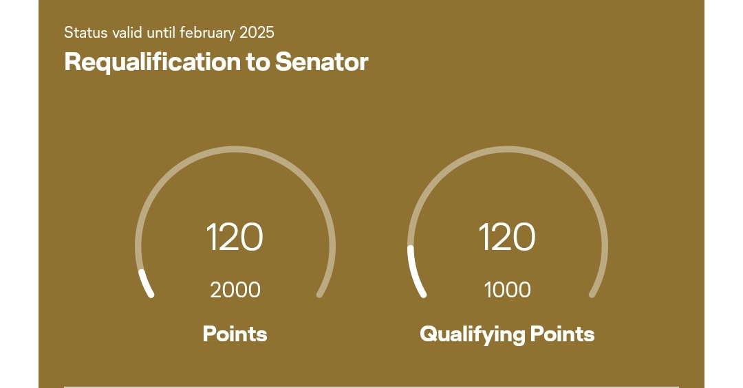 Screenshot_20240917-202606_Lufthansa (1).jpg