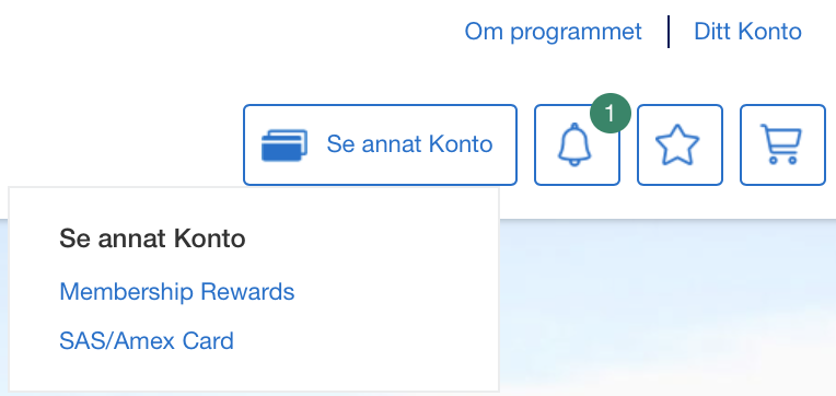 Skärmavbild 2020-02-09 kl. 08.05.30.png