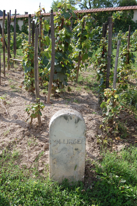 Skärmavbild 2022-05-28 kl. 16.02.58.png