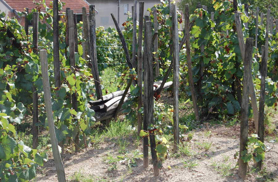 Skärmavbild 2022-05-28 kl. 16.03.22.png