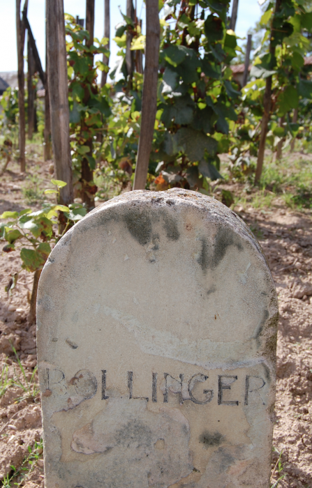 Skärmavbild 2022-05-28 kl. 16.03.36.png