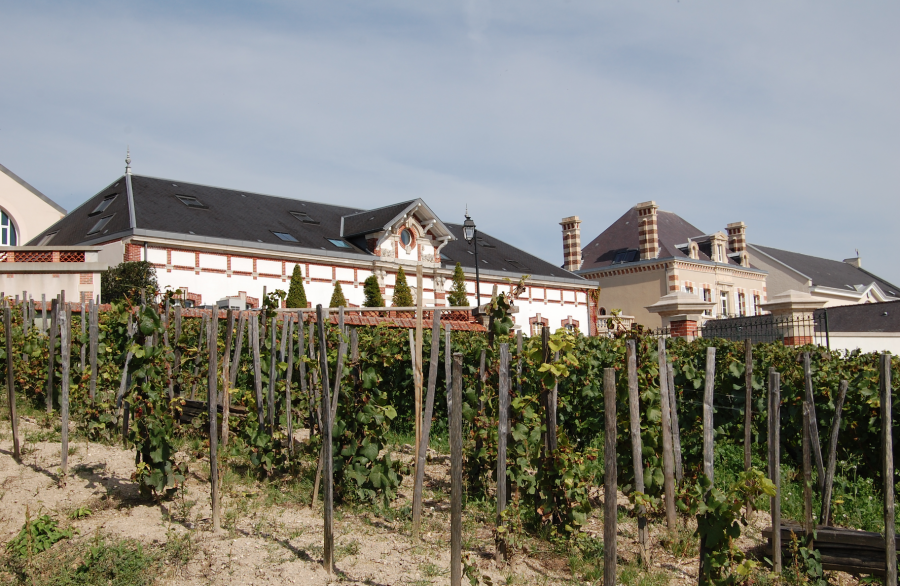 Skärmavbild 2022-05-28 kl. 16.03.53.png