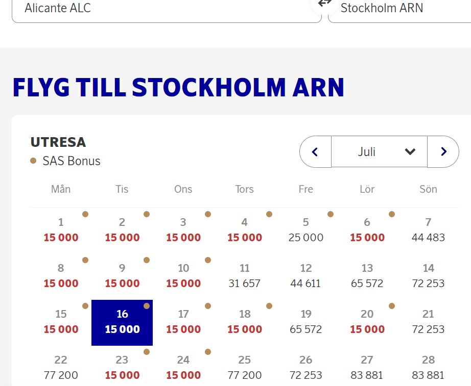 Skärmbild 2024-06-11 191416.jpg