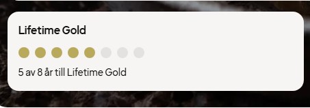 Skärmbild 2025-04-12 190611.jpg