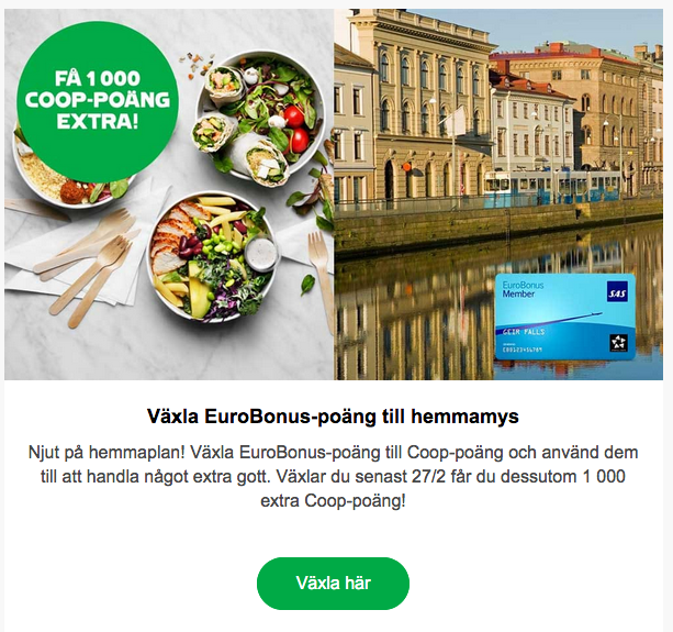 Skärmavbild 2021-02-20 kl. 09.19.58.png