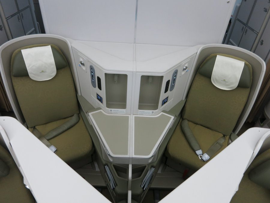 Vietnam Airlines Business class B787 HAN-NRT, 25.JPG