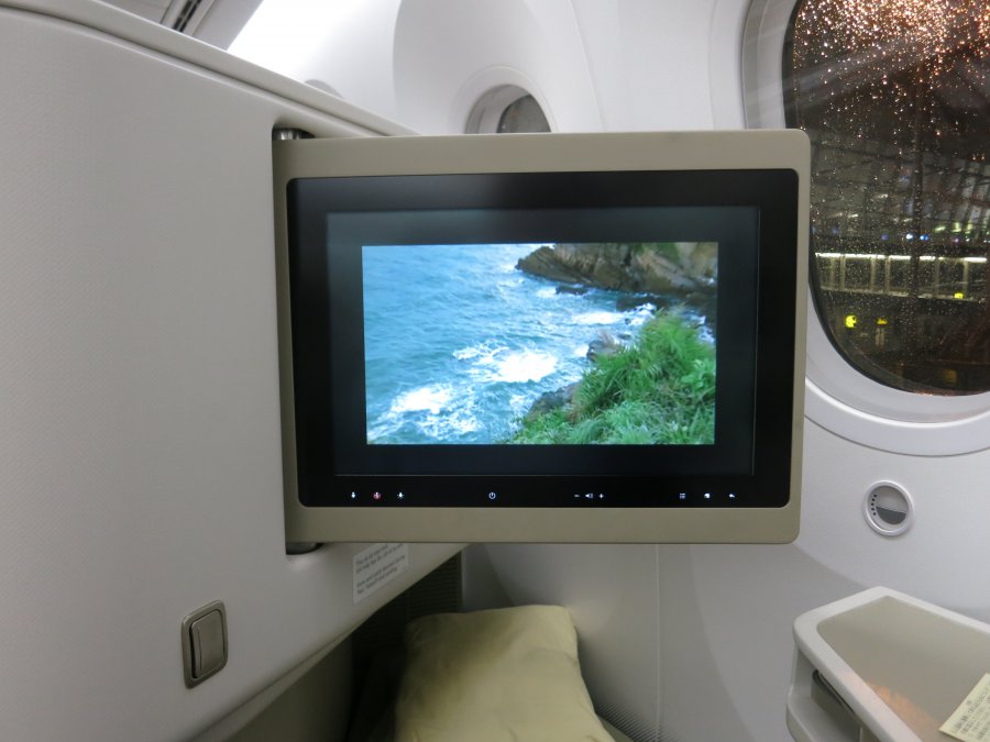 Vietnam Airlines Business class B787 HAN-NRT, 31.JPG