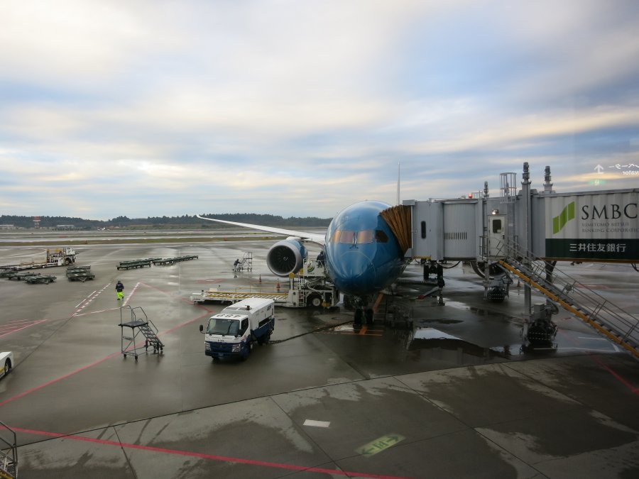 Vietnam Airlines Business class B787 HAN-NRT, 67.JPG