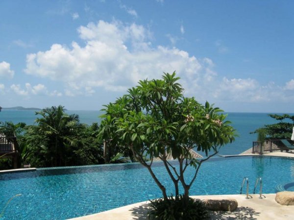 IMG_8196.jpg IMG_8196.jpg