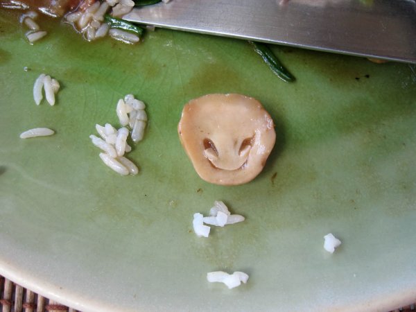 IMG_8210.JPG IMG_8210.JPG