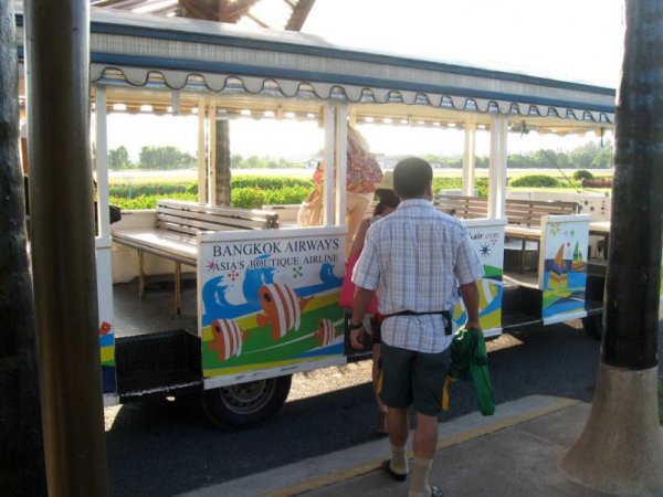 IMG_8258.jpg IMG_8258.jpg