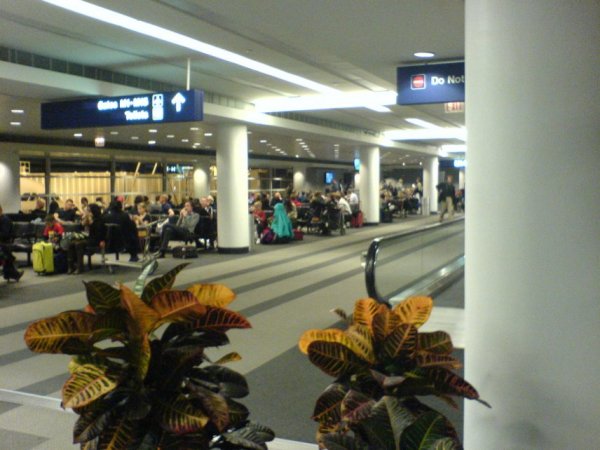 DSC00230.jpg DSC00230.jpg