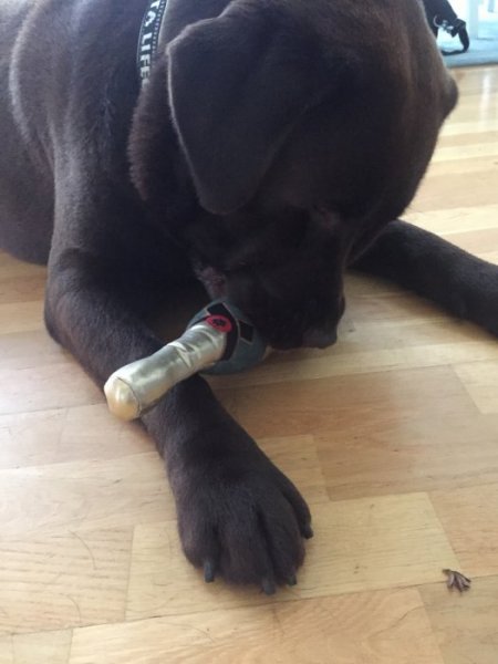 7D67BAAC-02FE-4995-8814-D737B3EE73AA.jpeg 7D67BAAC-02FE-4995-8814-D737B3EE73AA.jpeg