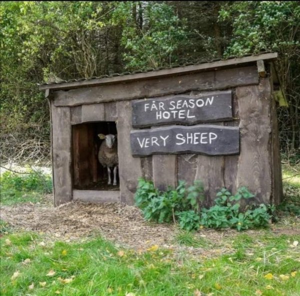 020AE745-A343-4FA0-9B4A-D874AA107E2F.jpeg 020AE745-A343-4FA0-9B4A-D874AA107E2F.jpeg